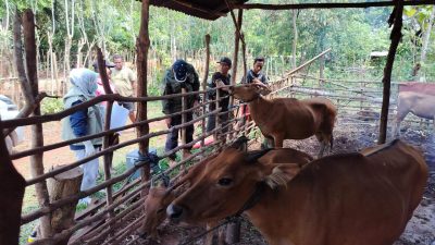 Jelang Idul Adha 1445 H, Pj Gubernur Andap Cek Ketersediaan Stok Hewan Kurban di Sultra