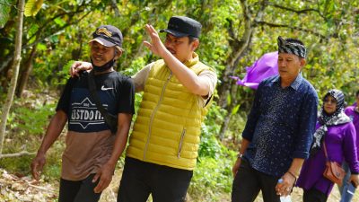 Bupati Abd Azis Ingin Kakao Kembali Berjaya di Koltim