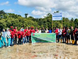 Peringati Hari Mangrove Sedunia, Mahasiswa KKN Unsultra Tanam 1000 Pohon Mangrove di Desa Wawatu