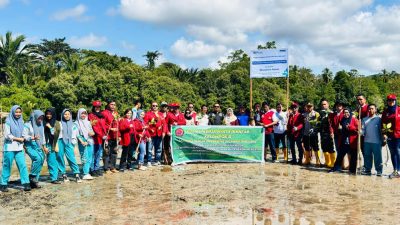 Peringati Hari Mangrove Sedunia, Mahasiswa KKN Unsultra Tanam 1000 Pohon Mangrove di Desa Wawatu