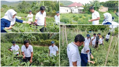 Pj Bupati Kolaka Utara Panen Sayuran Dukung Program Makan Bergizi Gratis