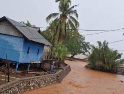 AMPLK Sultra Soroti Dugaan Pencemaran Lingkungan Akibat Aktivitas PT TBS di Desa Pu’ununu Bombana