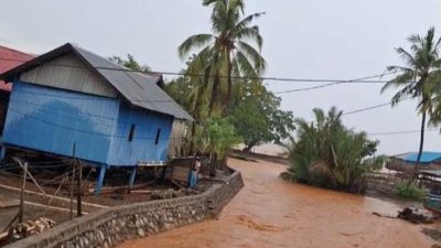 AMPLK Sultra Soroti Dugaan Pencemaran Lingkungan Akibat Aktivitas PT TBS di Desa Pu’ununu Bombana