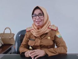 Pemprov Sultra Resmi Hentikan Perekrutan Tenaga Honorer Mulai Tahun Ini