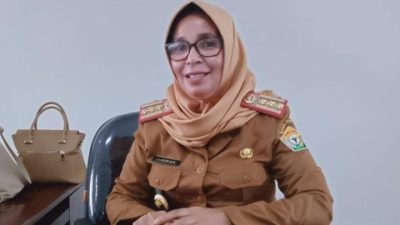 Seleksi Kompetensi PPPK 2024 Tahap II Lingkup Pemprov Sultra Dimulai April-Mei 2025