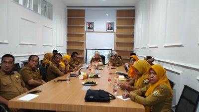 Pemprov Sultra Ikuti Rakor Pengendalian Inflasi