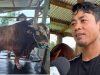 Eko Puwanto seorang peternak asal Desa Lambusa, Kecamatan Konda, Kabupaten Konawe Selatan (Konsel).