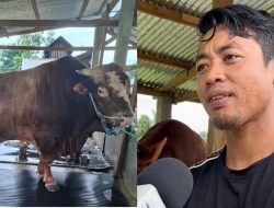 Eko Puwanto Bangga Sapi Peliharaannya Terpilih Jadi Kurban Presiden