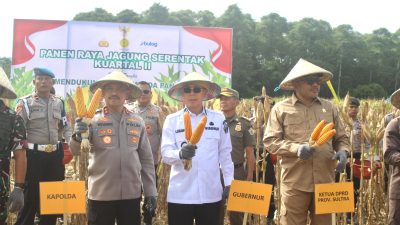Panen Raya Jagung Serentak Digelar di Konsel, Sultra Siap Jadi Lumbung Pangan Nasional