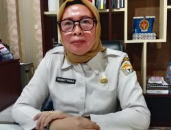 Tiga OPD Belum Terima Gaji ke-13 PPPK, Ini Penjelasan BPKAD Sultra