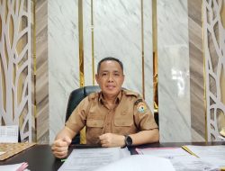 Sultra Cetak 6.745 Hektare Sawah Baru di 2025, Fokus Perkuat Ketahanan Pangan