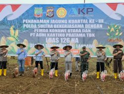 Sinergi Polri dan PT Adhi Kartiko Pratama, 126 Hektar Lahan Jagung Disiapkan di Konawe Utara