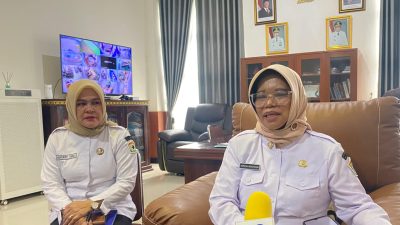 Pemprov Sultra Luncurkan Program JKS, Jamin Layanan Kesehatan Warga Tak Tercover JKN