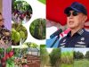 Gubernur Sultra, Andi Sumangerukka (kanan) dan Kepala Dinas Perkebunan dan Hortikultura Sultra, LM Rusdin Jaya (kiri).