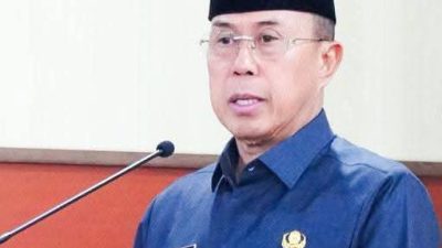 Gubernur Sultra, Andi Sumangerukka. (Dok. Istimewa)