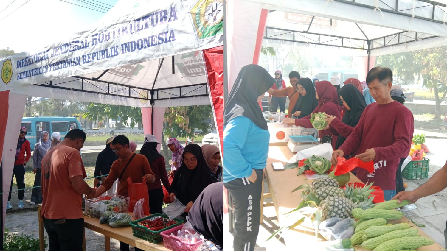 Dinas Perkebunan dan Hortikultura Sultra saat menggelar Pasar Tani Hortikultura, bertepat Tugu Pilar, samping Kantor Bappeda Sultra. (FOTO: FAYSAL/MS)