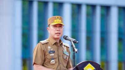 Gubernur Andi Sumangerukka. (Dok. Istimewa)