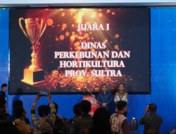 Komitmen Keterbukaan Informasi, Dinas Perkebunan dan Hortikultura Sultra Sabet Dua Penghargaan Bergengsi