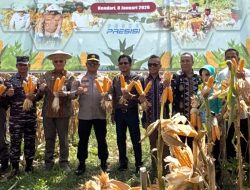 Polda Sultra Panen Raya Jagung Serentak Kuartal I 2026, Wujud Dukungan Ketahanan Pangan Nasional