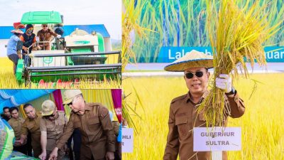 Gubernur Andi Sumangerukka Panen Perdana Benih Padi Mandiri, Petani Sultra Terima Benih Gratis Sanggoleo