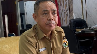 Perkuat Swasembada Pangan, Sultra Target 1 Juta Ton Gabah Kering Giling