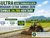 Sultra Dapat Tambahan Kuota, Program Cetak Sawah 2026 Tembus 24.700 Hektare