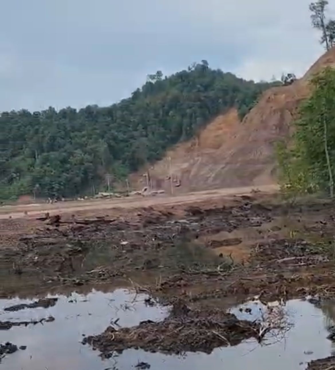 Dugaan penimbunan Laut dan kerusakan Mangrove di Moramo. (Dok. Istimewa)