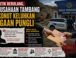 Praktik Berulang, Perusahaan Tambang di Konut Keluhkan Dugaan Pungli
