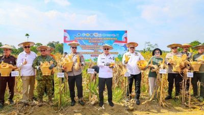 Panen Raya Jagung Kuartal II di Labibia, Gubernur ASR Perkuat Ketahanan Pangan Sultra