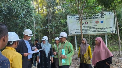 Asesor Internasional Tanam Pohon Endemik di Kebun Raya UHO, Tinggalkan Jejak Konservasi untuk Dunia