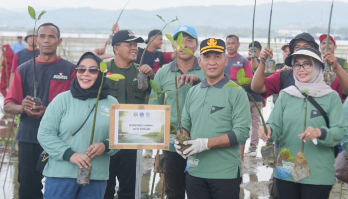 Peringati Hari Mangrove Sedunia, Pemkot Kendari Tanam 1.000 Pohon untuk Lindungi Pesisir Teluk Kendari