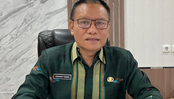 Disperindag Sultra: IKM Terus Bertumbuh, Jadi Motor Penggerak Ekonomi Daerah