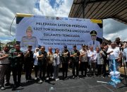 Sultra Ekspor 1.027 Ton Tepung Tapioka dan Minyak Kelapa ke China-Malaysia