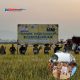 Wali Kota Siska Panen Padi MT II di Amohalo, Dorong Peningkatan Produktivitas Pertanian Kendari
