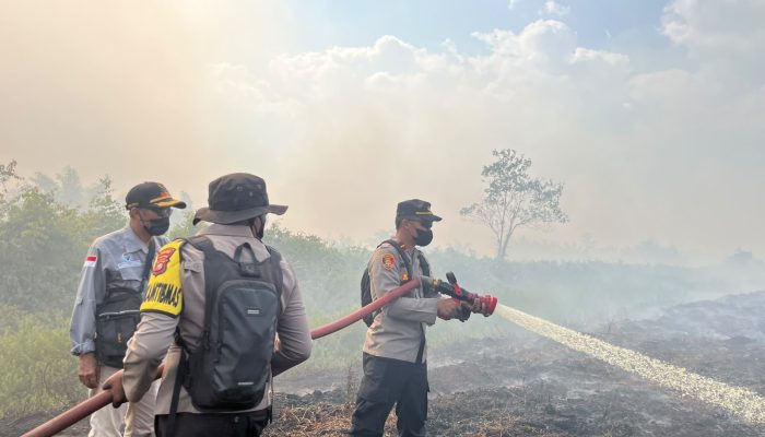 Kebakaran Lahan Gambut di Koltim, Polri-TNI dan BPBD Bergerak Padamkan Api