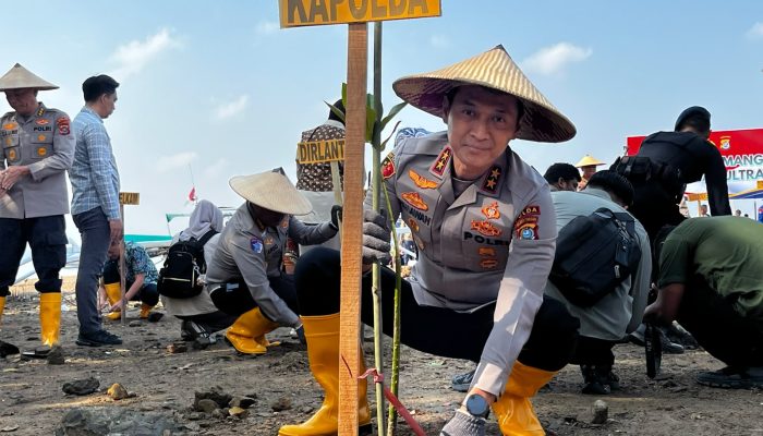 Kapolda Sultra, Irjen Pol Dr. Himawan Bayu Aji, saat melakukan penanaman mangrove di kawasan Teluk Kendari, tepatnya di depan Kantor Camat Kendari Barat, Jumat (16/10/2026). (FOTO: FAYSAL/MS)